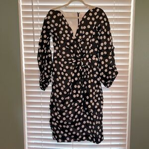 Carolina Herrera Dress